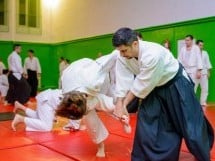 Stagiu Aikido