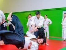 Stagiu Aikido