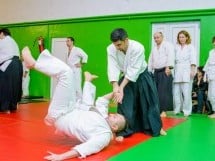 Stagiu Aikido