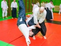 Stagiu Aikido