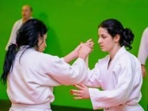 Stagiu Aikido