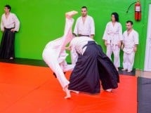 Stagiu Aikido