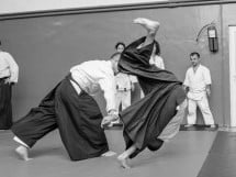 Stagiu Aikido