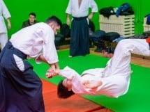 Stagiu Aikido