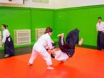 Stagiu Aikido