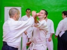 Stagiu Aikido