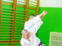 Stagiu Aikido