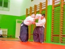 Stagiu Aikido