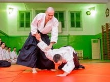 Stagiu Aikido