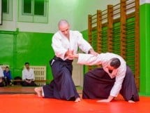 Stagiu Aikido