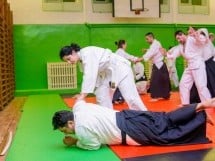 Stagiu Aikido