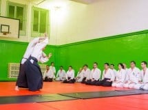 Stagiu Aikido