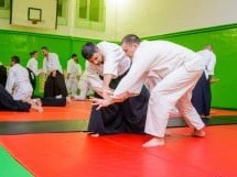 Stagiu Aikido