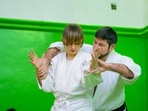 Stagiu Aikido