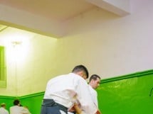 Stagiu Aikido