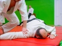 Stagiu Aikido