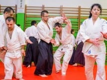 Stagiu Aikido