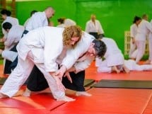 Stagiu Aikido