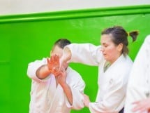 Stagiu Aikido