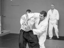 Stagiu Aikido