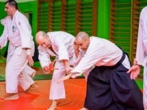 Stagiu Aikido