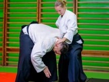 Stagiu Aikido