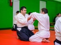 Stagiu Aikido