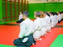 Stagiu Aikido