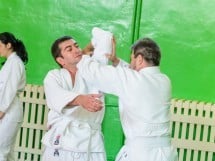 Stagiu Aikido