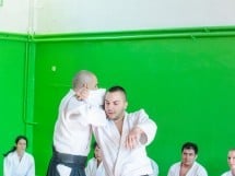 Stagiu Aikido