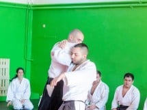 Stagiu Aikido