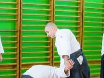 Stagiu Aikido