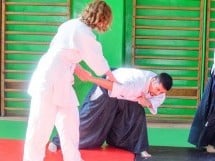 Stagiu Aikido