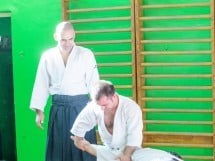 Stagiu Aikido