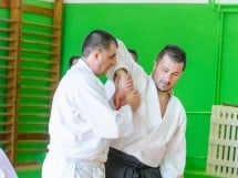 Stagiu Aikido