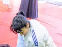 Stagiu Aikido