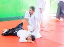 Stagiu Aikido