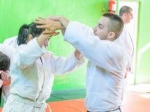 Stagiu Aikido