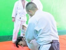 Stagiu Aikido