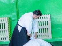 Stagiu Aikido