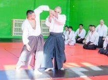 Stagiu Aikido