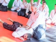 Stagiu Aikido