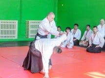 Stagiu Aikido