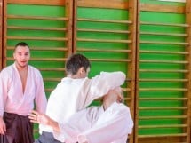 Stagiu Aikido