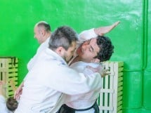 Stagiu Aikido