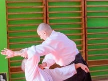 Stagiu Aikido