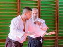 Stagiu Aikido