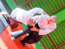 Stagiu Aikido