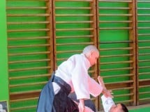 Stagiu Aikido