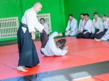 Stagiu Aikido